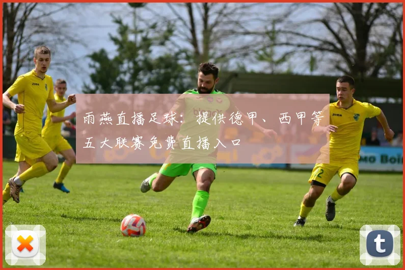 雨燕直播足球：提供德甲、西甲等五大联赛免费直播入口