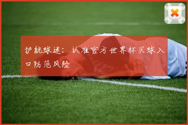 护航球迷：认准官方世界杯买球入口防范风险