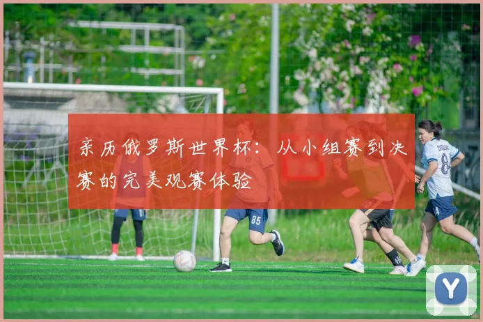 亲历俄罗斯世界杯：从小组赛到决赛的完美观赛体验