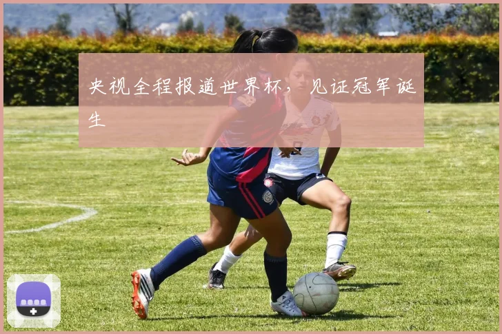 央视全程报道世界杯，见证冠军诞生