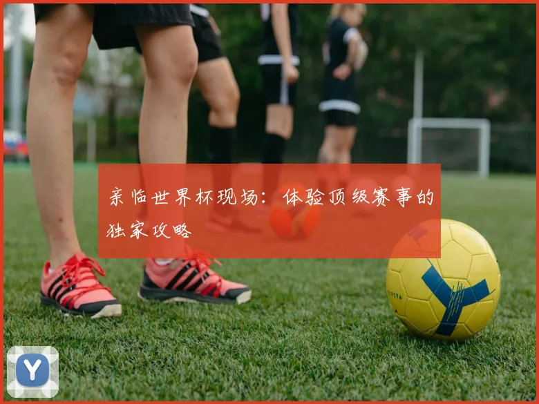 亲临世界杯现场:体验顶级赛事的独家攻略