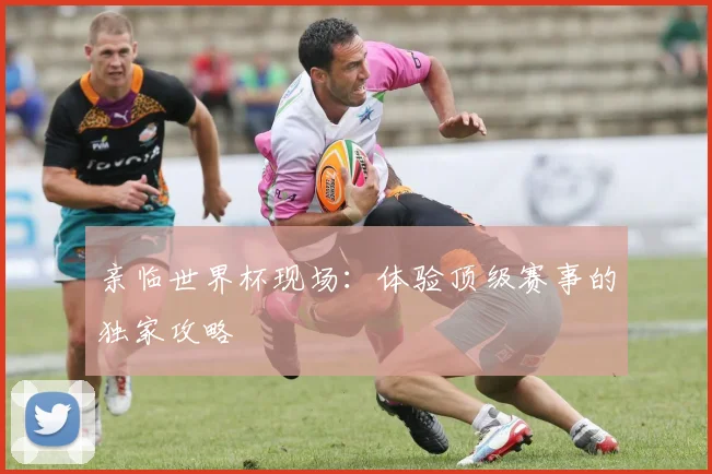 亲临世界杯现场:体验顶级赛事的独家攻略